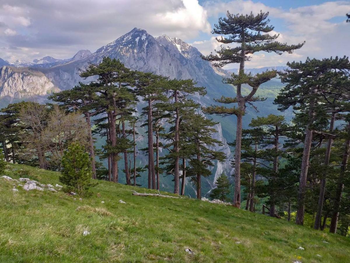 Apartman Lala Foca Dış mekan fotoğraf